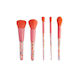 Beauty Salon Professionell Set mit Make-up-Pinseln 5Stück