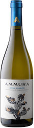 Tommasi Family Estates Weiß Trocken 750ml Tommasi Family Estates Weiß Trocken 750ml