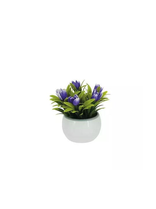 White Potted Plant With Purple Tulips 8.5x8.5x1...