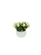 White Potted Plant With Ecru Tulips 8.5x8.5x13cm 1/120kib 04-19318-1