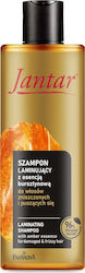 Farmona Jantar Shampoo for Itching for Damaged Hair 300ml Farmona Jantar Shampoo for Itching for Damaged Hair 300ml