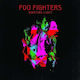 Foo Fighters Wasting Light 1 Vinyl