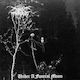 Darkthrone Under A Funeral Moon 1 Vinyl