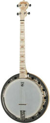 Deering Goodtime Zwei 19 Bünde