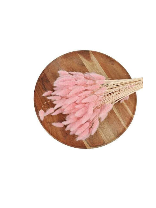 Lagurus Αποξηραμενα Bunny Tails 100 Gr Ροζ
