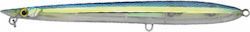Tubertini Seika Sultan 180mm 2 02 Tubertini Seika Sultan 180mm 2 02