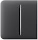 Sidebutton 2-gang Graphite Ajax