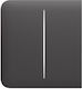 Sidebutton 2-gang Grey Ajax