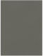 Χαρτονι Favini 50 X 70cm 220gr Piombo 07