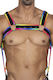 Cut4Men Ανδρικό Harness