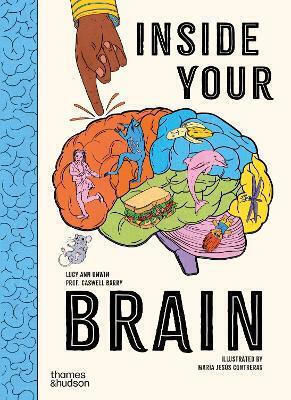 Inside Your Brain 10 Discoveries That Reveal How The Brain Works Professor Barry