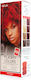 Neva Toner Σκόνη Χωρίς Αμμωνία Intense Redhead 100ml