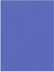 Favini Carton 50x70cm 220gr Albastru Cobalt No21