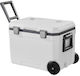 Vevor 45 Qt Φορητό Ψυγείο 45lt Γκρι