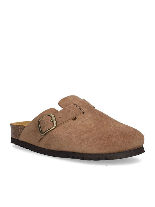 Scholl