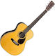 Martin Acustică Chitară Standard Series