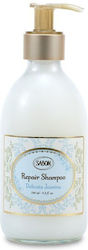 Sabon Σαμπουάν Αναδόμησης/Θρέψης 290ml Sabon Σαμπουάν Αναδόμησης/Θρέψης 290ml
