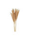 Изсушена Horsetail Whisk Трева Рт162