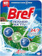 Henkel Cleaner Toilet with Scent Pine 50gr