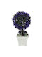 White Pot Purple Succulent Ball 12x22cm 96/box