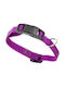 Dog Collar Magnetic Buckle Easy To Use Maximum Safety S