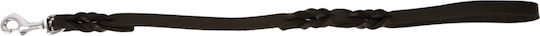 Dog Leash/Lead Leather in Brown color