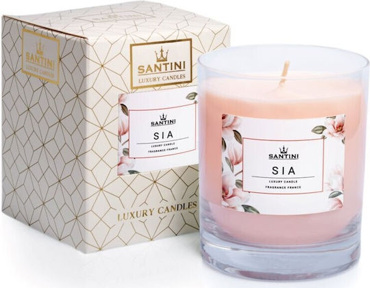 Santini Cosmetic Lumânare Aromatică în Borcan Magnolia