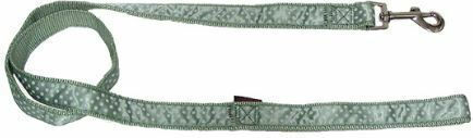 Pet Interest Dog Leash/Lead Strap in Green color