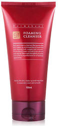 Dermaheal Αφρός Καθαρισμού Προσώπου 150ml Dermaheal Αφρός Καθαρισμού Προσώπου 150ml