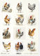 Decoupage Rice Paper A4 – Roosters Farm Style