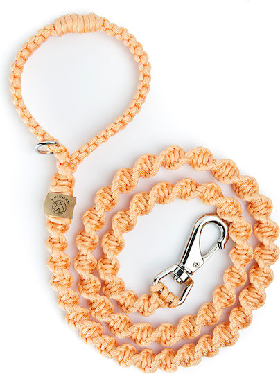 Sahpatzidis Dog Leash/Lead Strap in Orange color