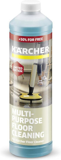 Karcher mit desinfizierender Wirkung 1x750ml
