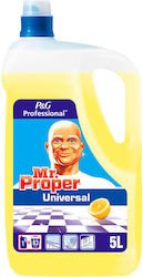 Mr. Proper Υγρό Γενικής Χρήσης 5lt Mr. Proper Υγρό Γενικής Χρήσης 5lt