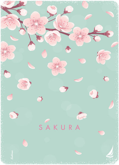 Ekdoseis Aigaio Spiral Notebook Ruled B5 120 Sheets 4 Subjects Sakura 1pcs