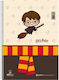 Harry Potter Spiral Notebook Ruled B5 60 Sheets 3 Subjects 1pcs (Μiscellaneous Designs)