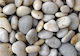 Γυαλισμένο Λευκό Βότσαλο 2-4 Cm 4-8 Cm 20kg
