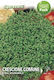 Cardamom Seeds