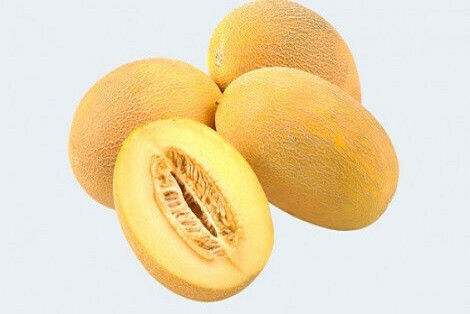 Melon Seeds Raymond F1 500 Seeds