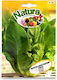Romana Natura Straight Light-Colored Lettuce Seed