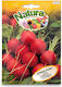Radish Seed Red Saxa Natura