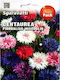 Kornblumen Saatgut Mix