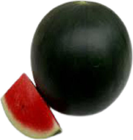 Watermelon Seed Type Baby 1gr 12694 Early Variety Few Seeds Very Tasty Flesh Intense Red Color Thin Skin