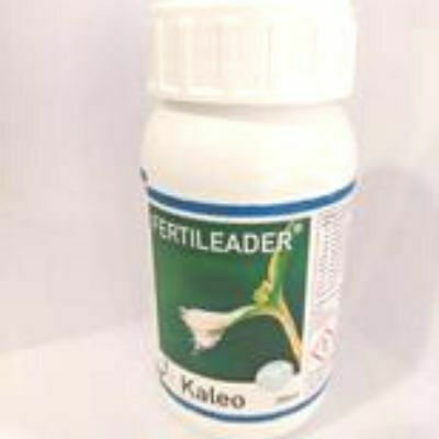 Düngemittel F-leader Kaleo-469 250 Cc