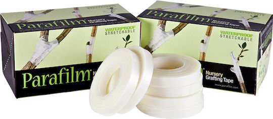 Amcor Parafilm Grafting Tape 1/2'' X 27.43m 2pcs