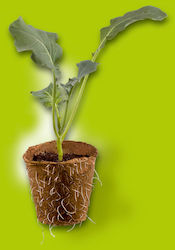 Biodegradable Planting Pot Stocker 9631 Biodegradable Planting Pot Stocker 9631