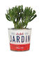 Scheurich Retro Garden Mini-jardin 870
