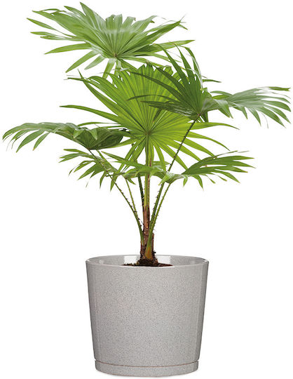 Scheurich XXL 1 Каспо Кашмирено Сиво 883