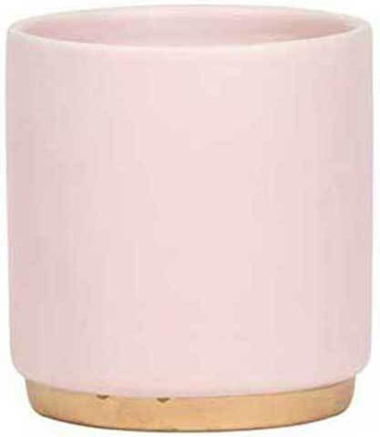 Gold Foot Pink 9cm
