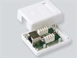 Priză Cat6a Stp Single Externă Mini Priză Cat6a Stp Single Externă Mini