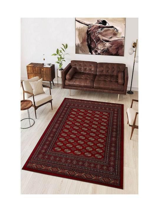 Conceptum Hypnose Rug Rectangular Red